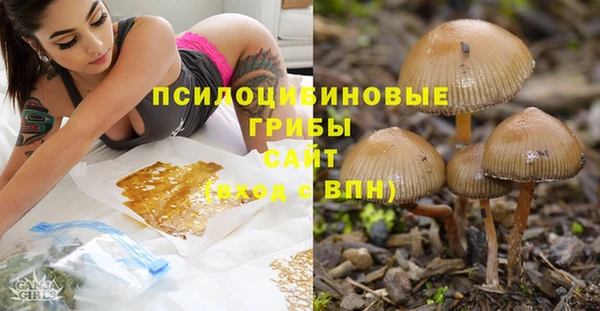 каннабис Дмитров