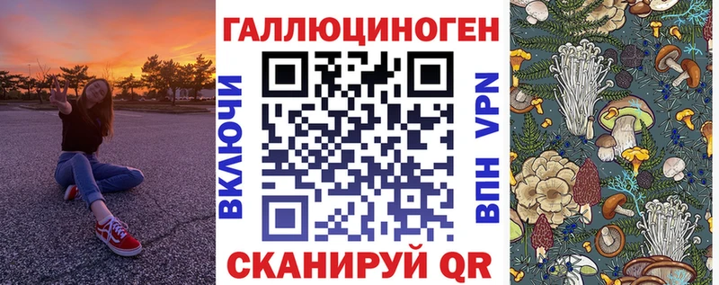 закладки  Дорогобуж  Галлюциногенные грибы прущие грибы 